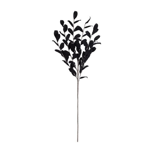 Coyet, Decoration, L118cm, Black