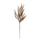 Cris, Decoration, L77cm, Brown