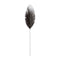 Foliage, Decoration, L103cm, Grey