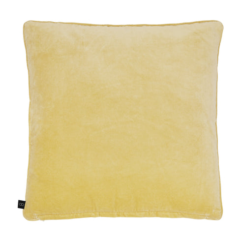 Squadro, Cushion Cover, H50xW50cm, Honey, Piping
