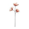 Santiago, Decoration, L98cm, Peach/Mocca